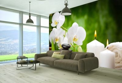 Спа фототапет за хол с бели орхидеи на зелен фон