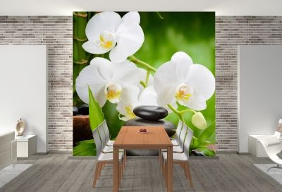T0146 Фототапет Бели орхидеи на зелен фон