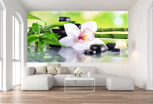 T0162 Wallpaper White orchid with reflection