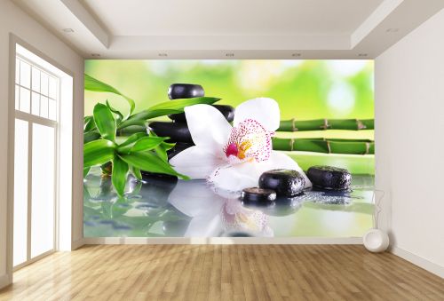 T0162 Wallpaper White orchid with reflection