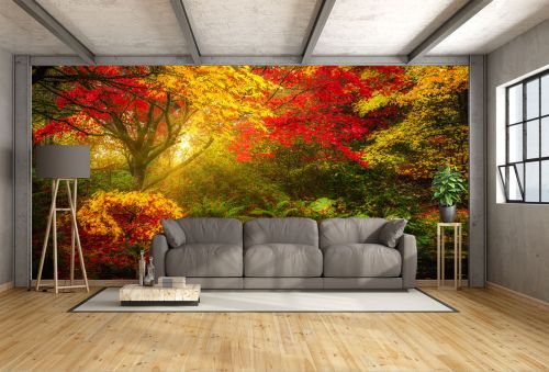 T9008 Wallpaper Colorful forest landscape