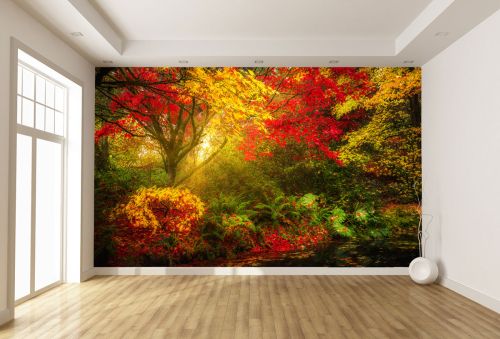 T9008 Wallpaper Colorful forest landscape