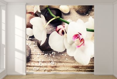 T9054 Фототапет Бели орхидеи