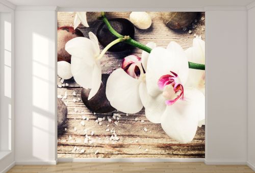 T9054 Wallpaper White orchids