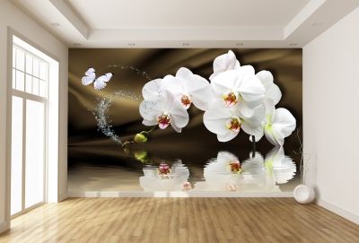 T0750 Фототапет Бели орхидеи на кафяв фон