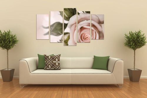 0754 Wall art decoration (set of 5 pieces) Delicate rose