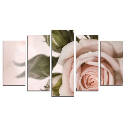 0754 Wall art decoration (set of 5 pieces) Delicate rose