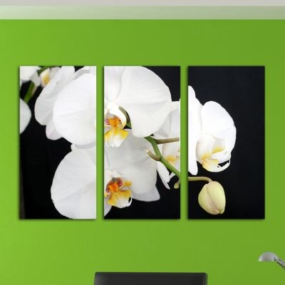 Картина с орхидеи