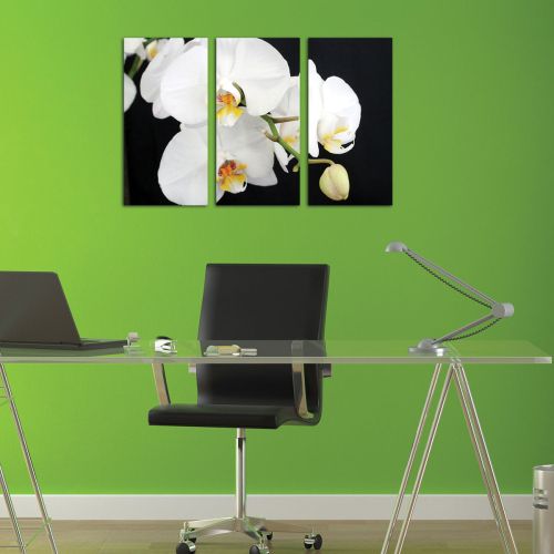 Black and white canvas art with orchids