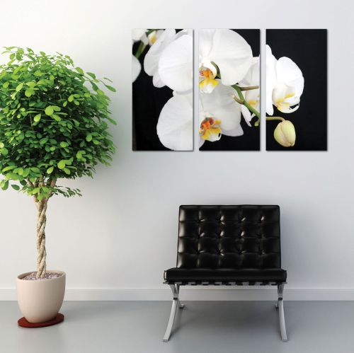 Canvas set with orchids in black and white