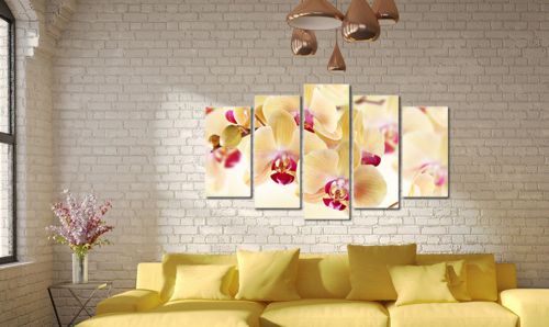 Canvas wall art 5 parts 