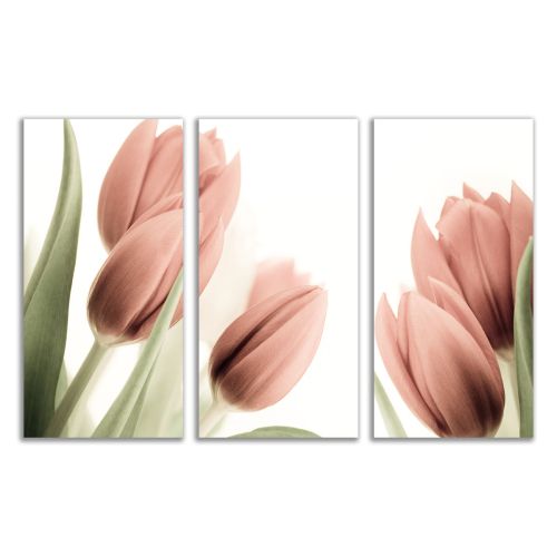 wall art decoration set with pink tulips