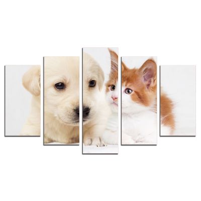0829 Wall art decoration (set of 5 pieces) Dog and cat