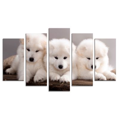 0830 Wall art decoration (set of 5 pieces) Sweet little dogs