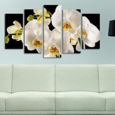 Картина от 5 части за стена с бели орхидеи на черен фон