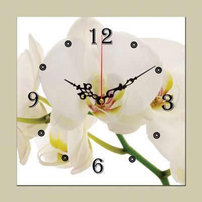 C0087_1 Стенен часовник с принт Бяла орхидея