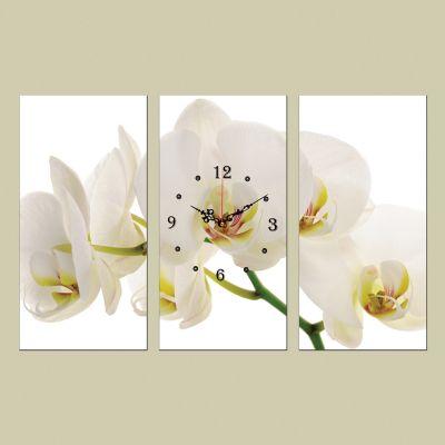 C0087_3 Стенен часовник от 3 части с принт Бяла орхидея