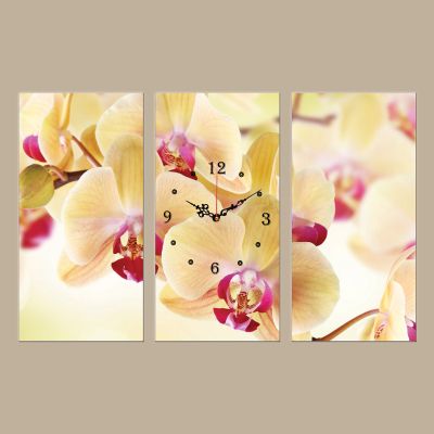 C0139_3 Стенен часовник от 3 части с принт Нежни орхидеи