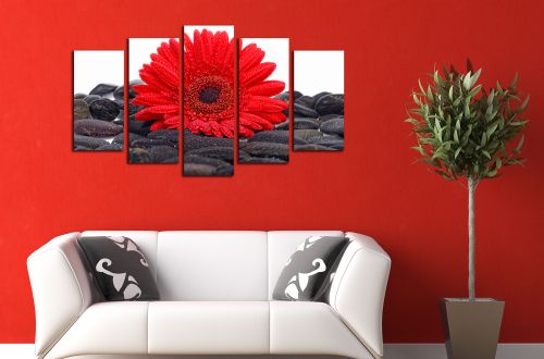 Modern wall panels  red gerber