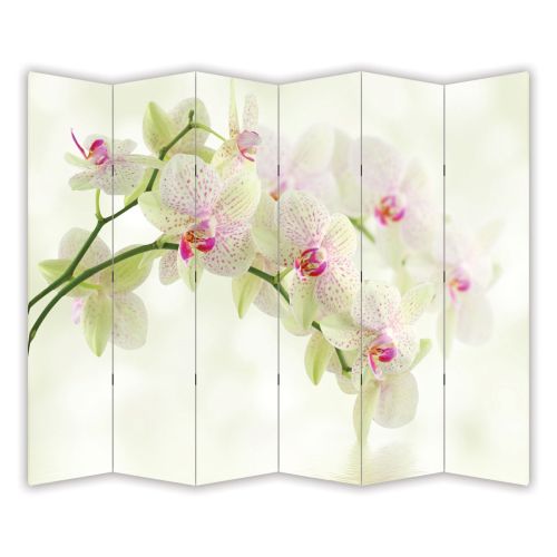 P0149 Decorative Screen Room devider Pretty woman (3,4,5 or 6 panels)