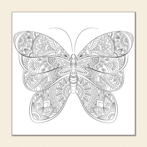 МC0015 Комплeкт за рисуване Пеперуда