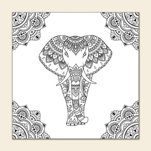 MC0017 Elefant drawing set 