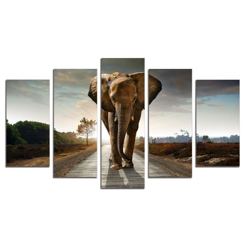 SALE002 Wall art decoration (set of 5 pieces) 