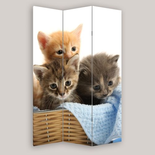 SALE P1 Decorative Screen Room divider 3 parts