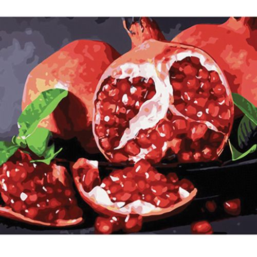  W5181 Paint by numbers set Pomegranate