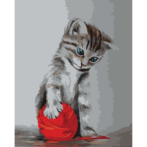 W2552 Paint by numbers set Cat
