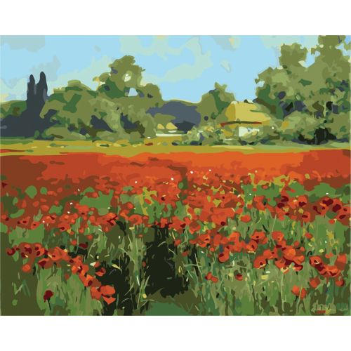  W992 Paint by numbers set Landscape with poppies