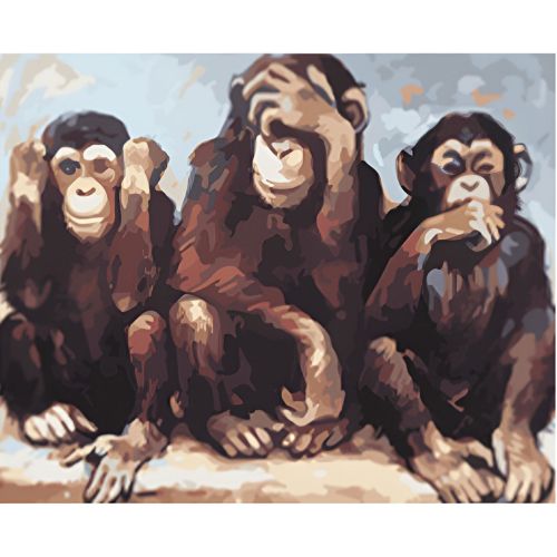 W4706 Paint by numbers set Monkeys