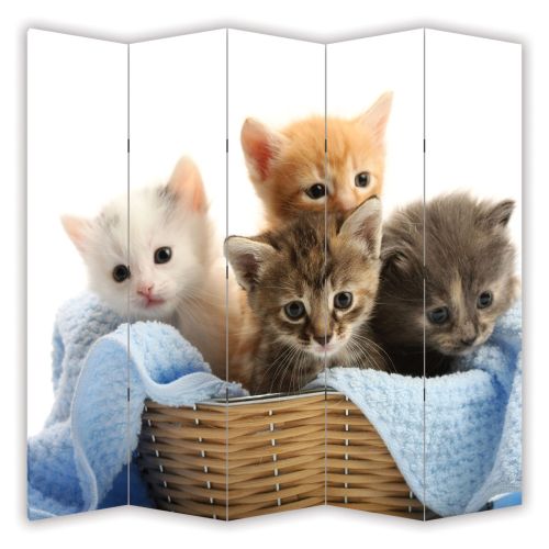 P0425 Decorative Screen Room divider Cute kittens (3,4,5 or 6 panels)