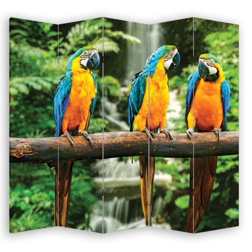 P0429 Decorative Screen Room divider Parrots (3,4,5 or 6 panels)
