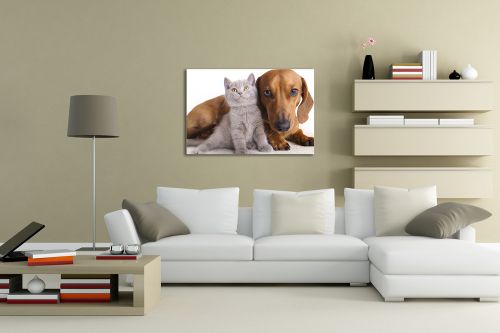 Wall art decoration with dog and cat