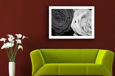 Черно-бяла картина с рози